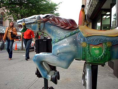 020508-horse01.jpg